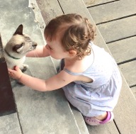 Maddy making friends with a cat at 4 Monkeys June 16